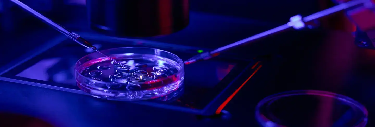 Research Peptide Blends