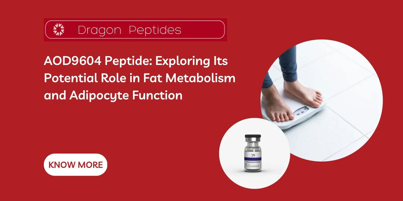 AOD9604 Peptide: Exploring Its Potential Role in Fat Metabolism and Adipocyte Function