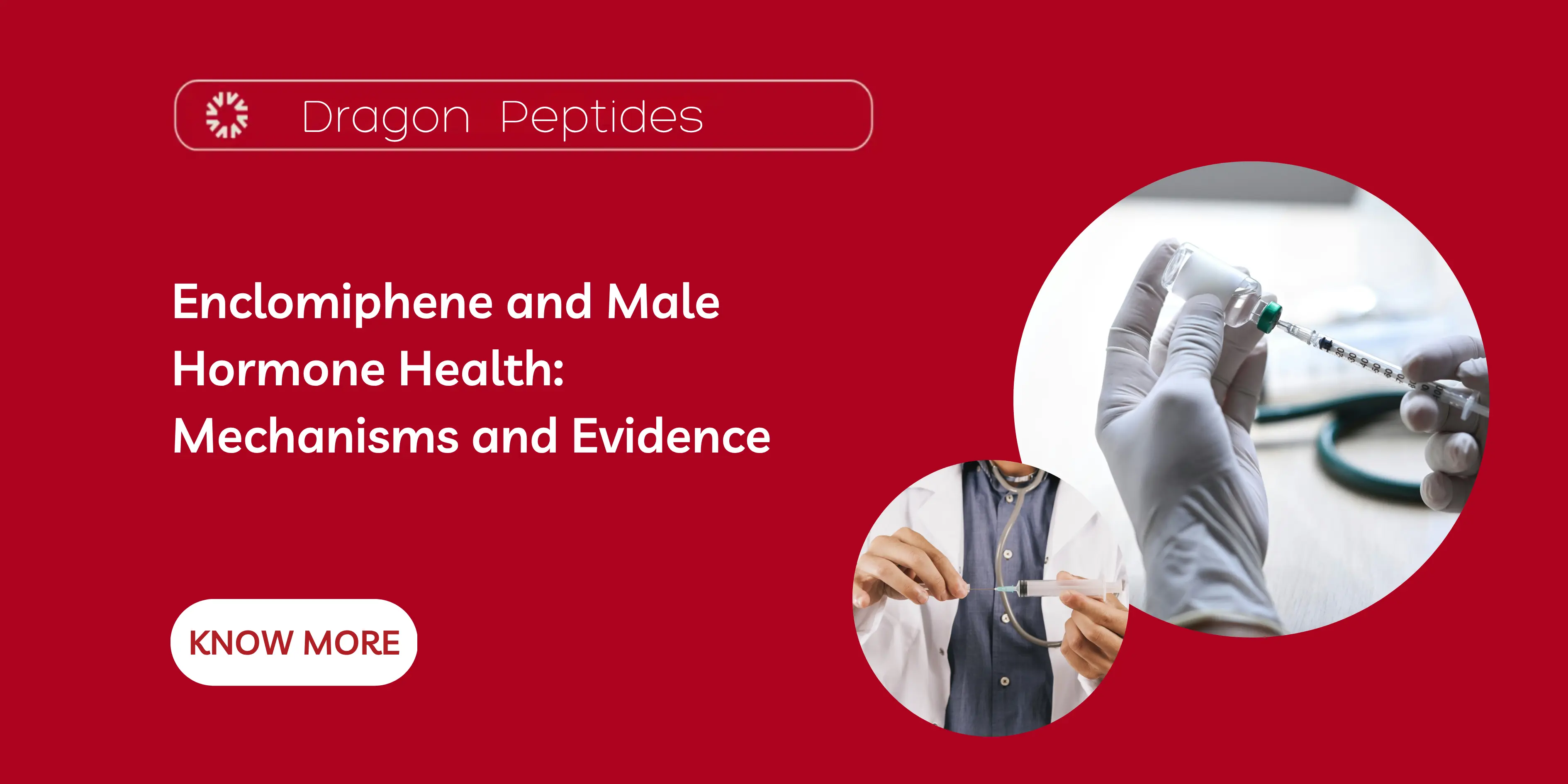 Enclomiphene and Male Hormone Health: Mechanisms and Evidence