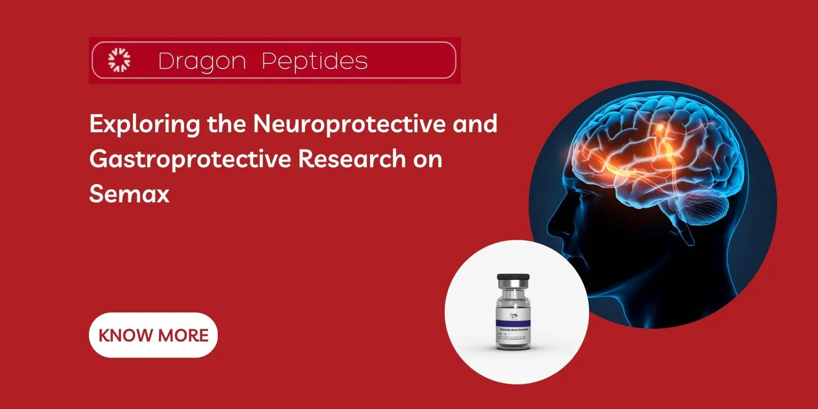 Exploring the Neuroprotective and Gastroprotective Research on Semax