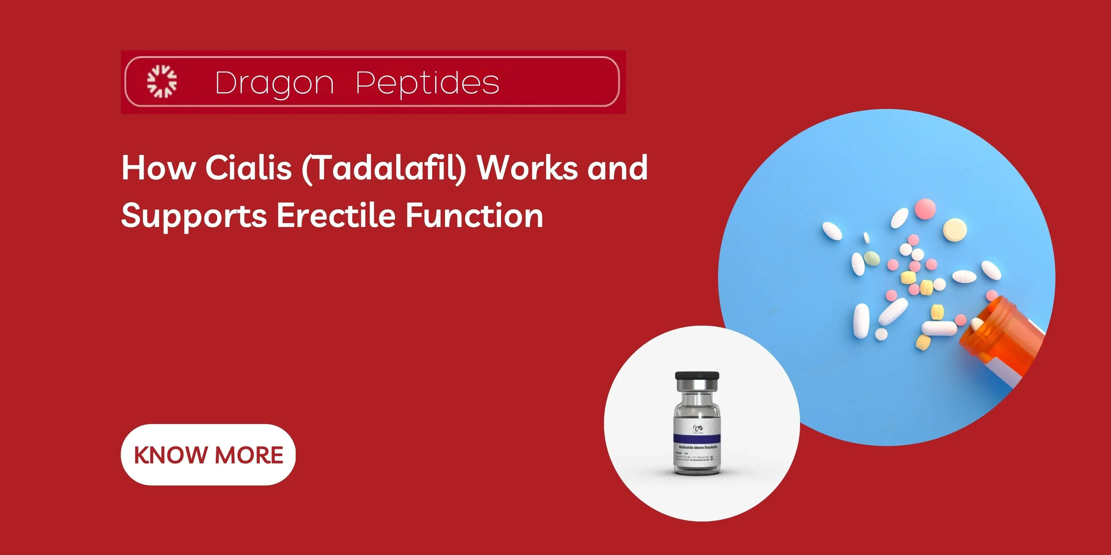 How Cialis (Tadalafil) Works and Supports Erectile Function
