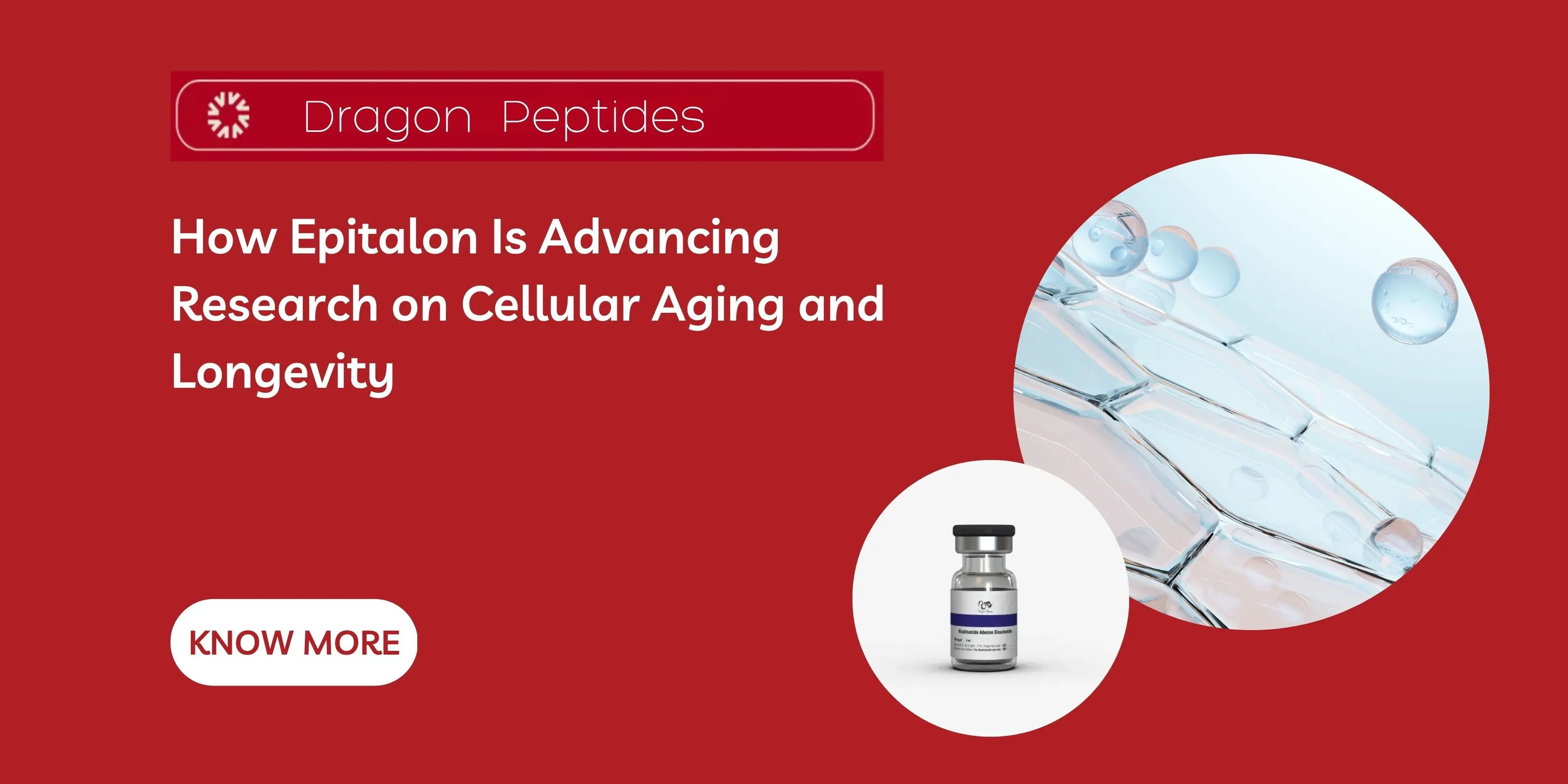 How Epitalon Is Advancing Research on Cellular Aging and Longevity