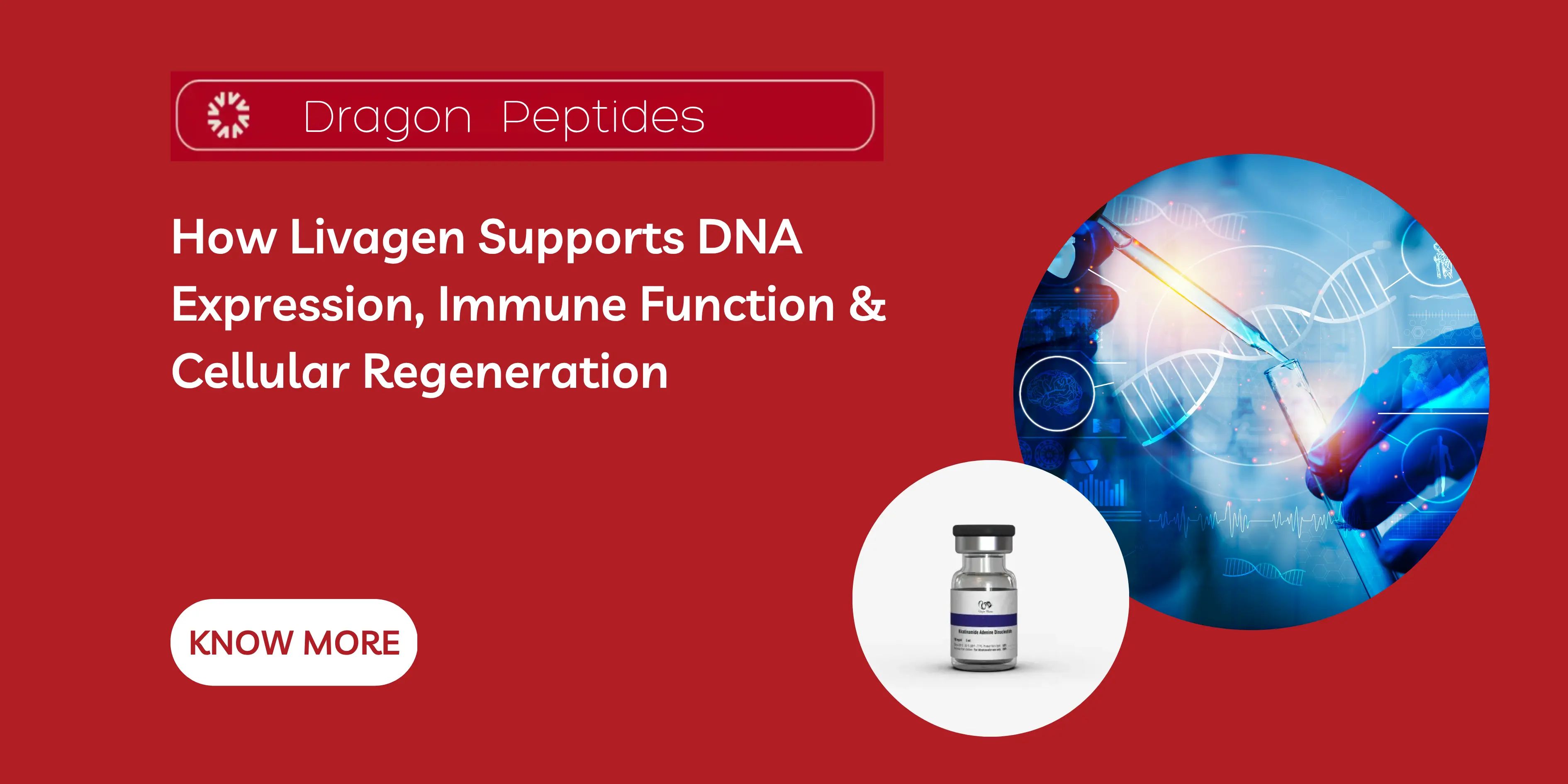How Livagen Supports DNA Expression, Immune Function & Cellular Regeneration