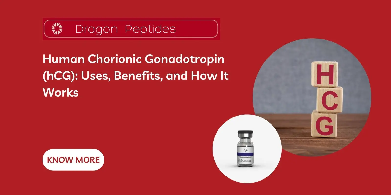 Human Chorionic Gonadotropin (hCG): Uses, Benefits, and How It Works