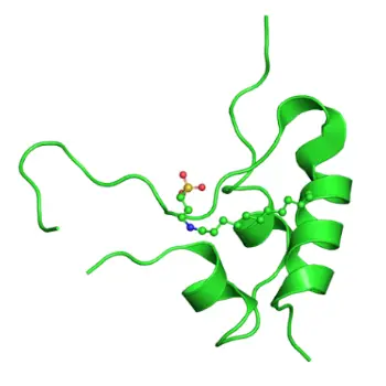 IGF-1 LR3 1mg