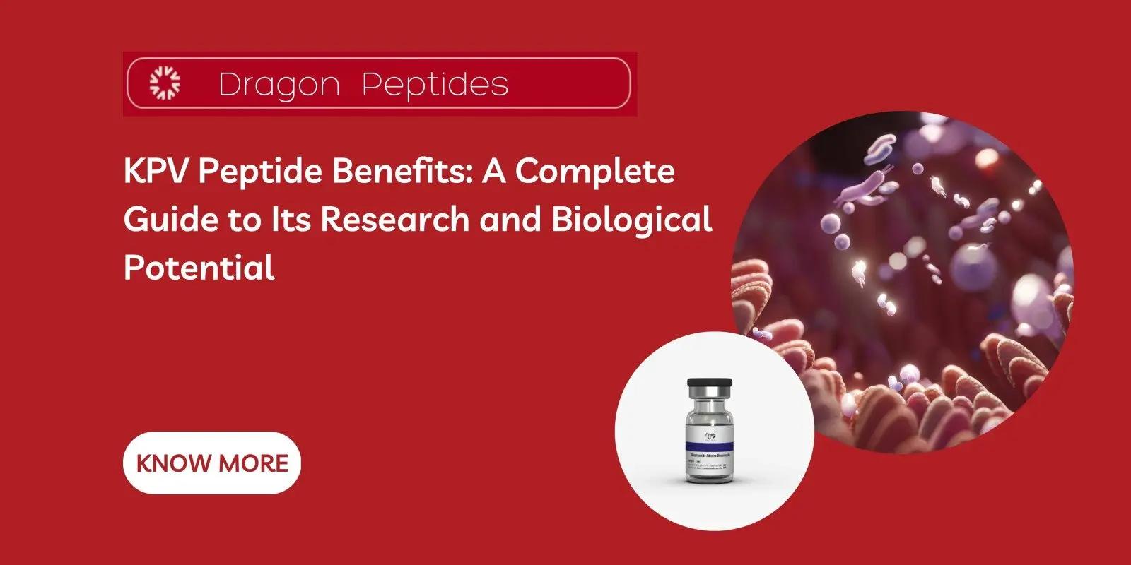 KPV Peptide Benefits: A Complete Guide to Its Research and Biological Potential