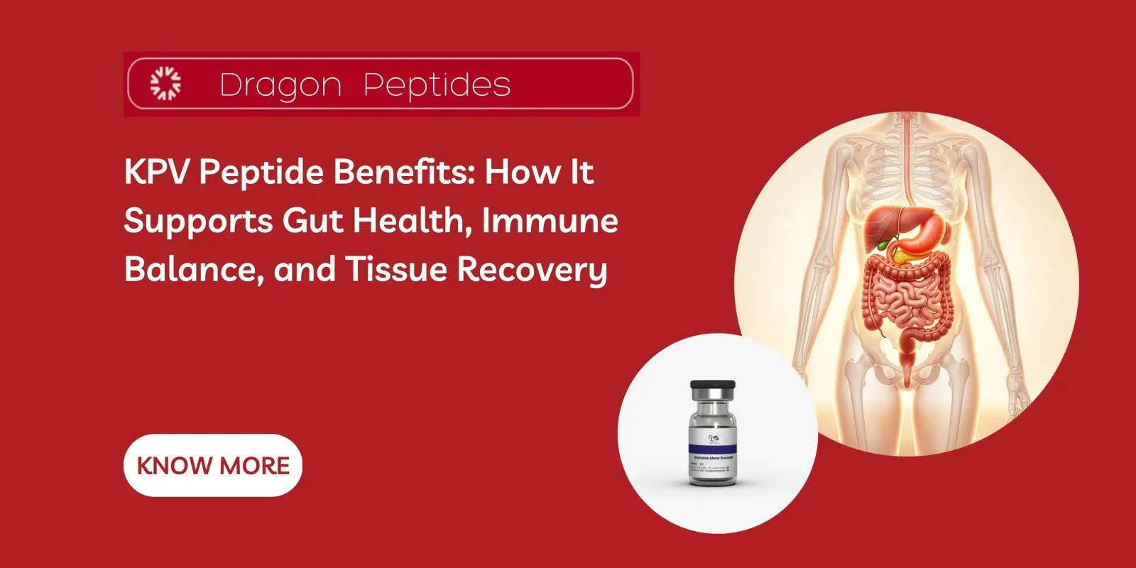 KPV Peptide Benefits: How It Supports Gut Health, Immune Balance, and Tissue Recovery
