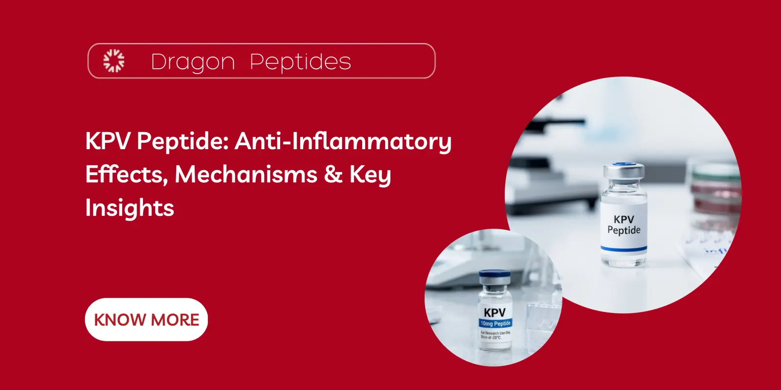 KPV Peptide: Anti-Inflammatory Effects, Mechanisms & Key Insights