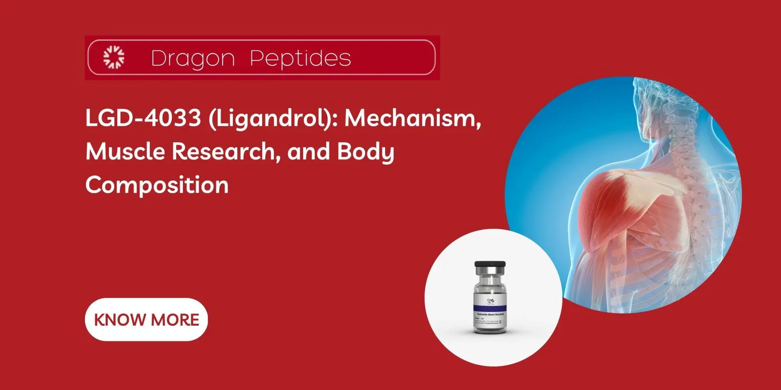 LGD-4033 (Ligandrol): Mechanism, Muscle Research, and Body Composition