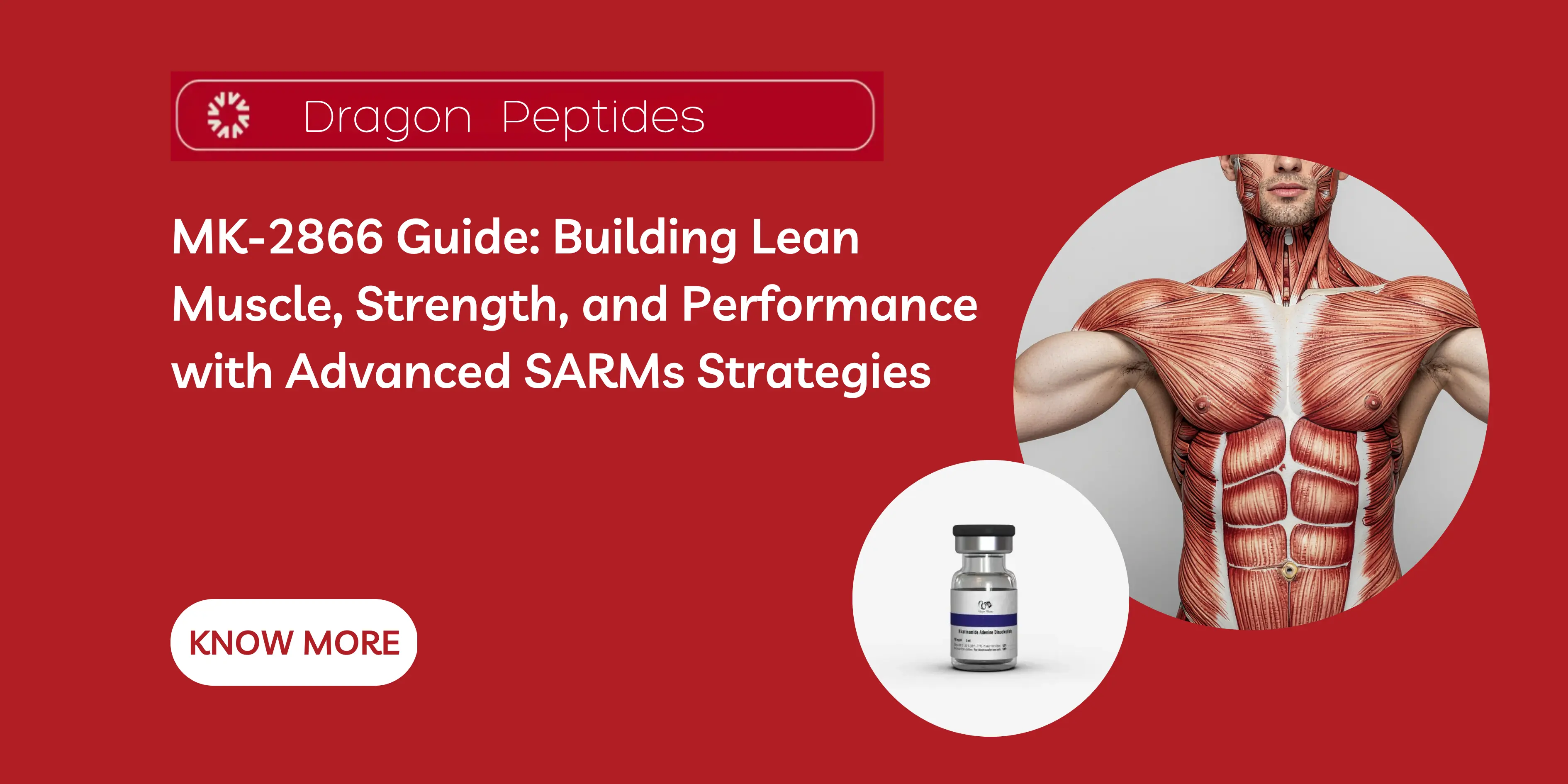 MK-2866 Guide: Building Lean Muscle, Strength, and Performance with Advanced SARMs Strategies