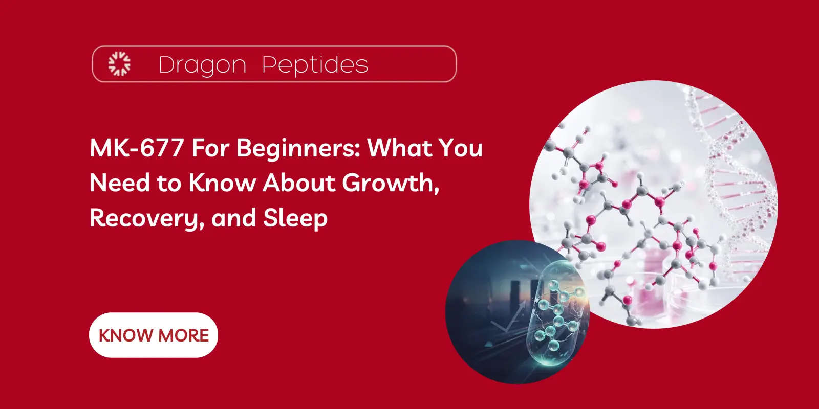 MK-677 For Beginners: What You Need to Know About Growth, Recovery, and Sleep