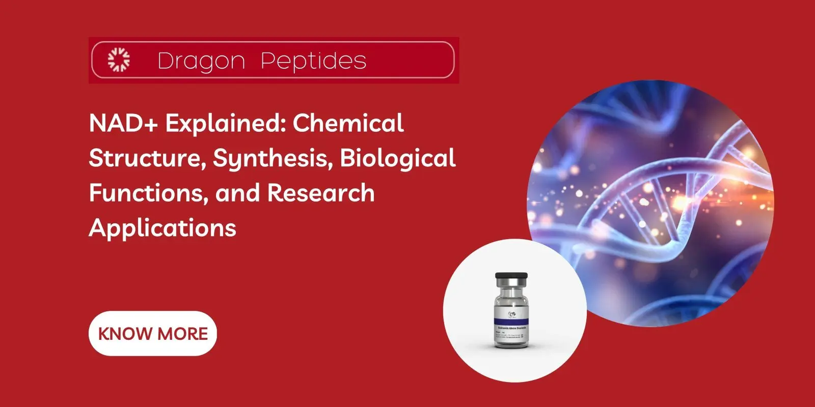 NAD+ Explained: Chemical Structure, Synthesis, Biological Functions, and Research Applications
