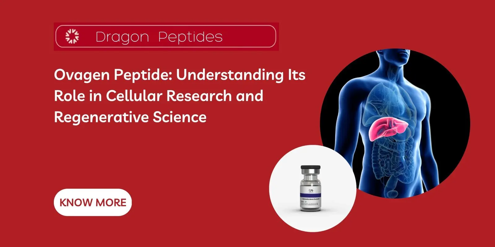 Ovagen Peptide: Understanding Its Role in Cellular Research and Regenerative Science