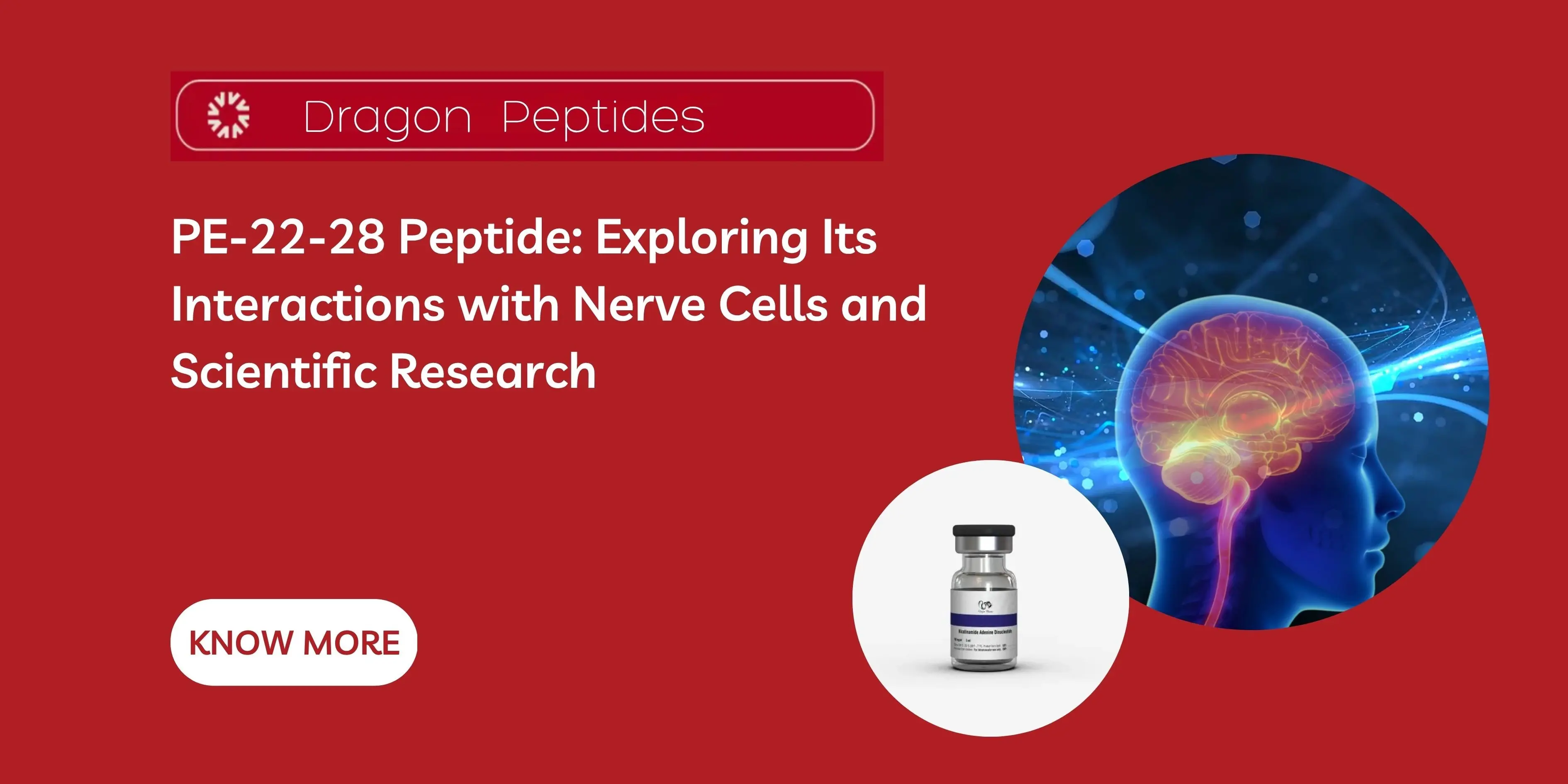 PE-22-28 Peptide: Exploring Its Interactions with Nerve Cells and Scientific Research