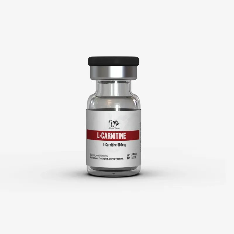 L-CARNITINE 500
