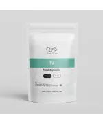 T4