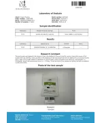 YK11 10mg