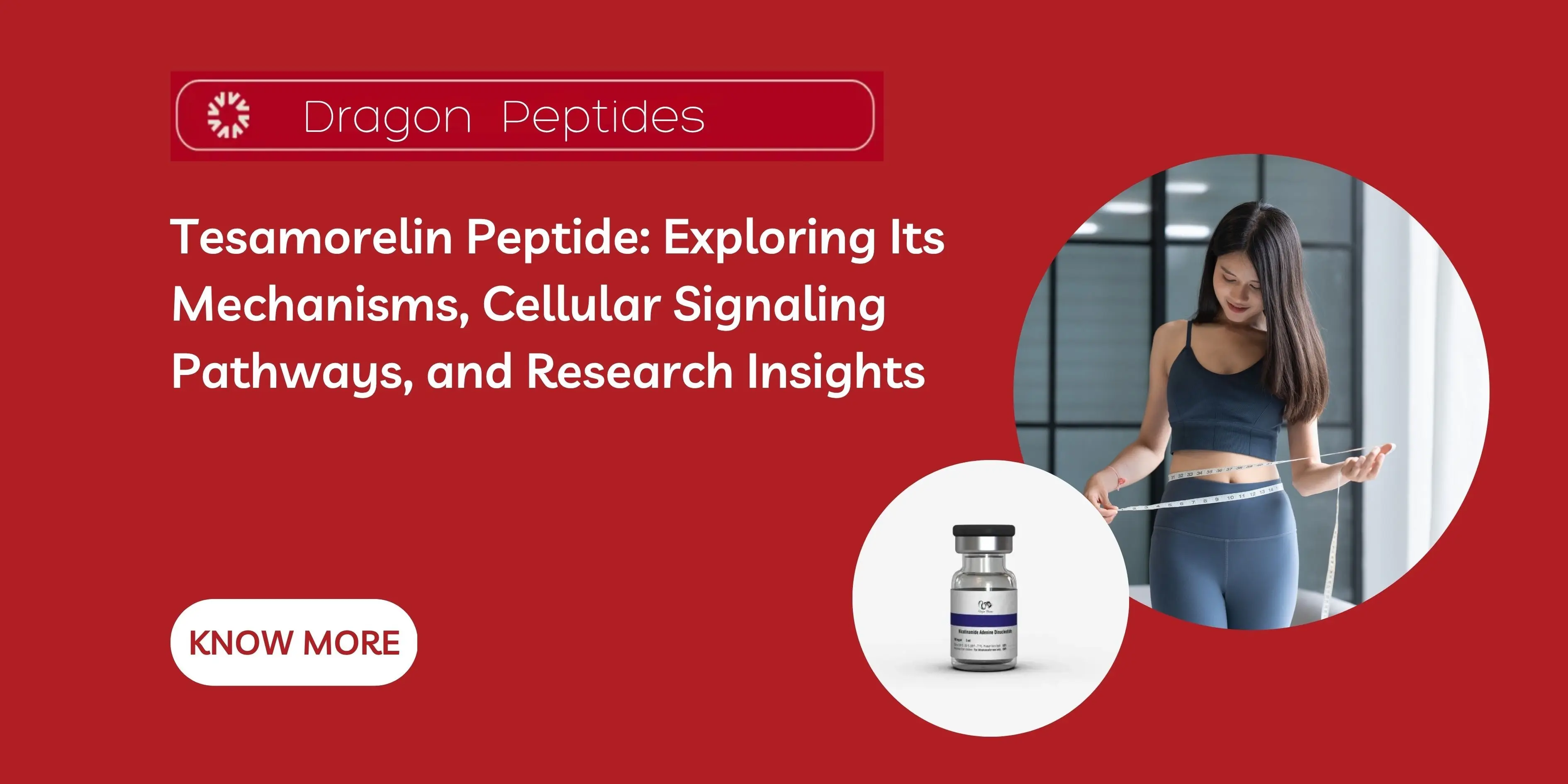 Tesamorelin Peptide: Exploring Its Mechanisms, Cellular Signaling Pathways, and Research Insights