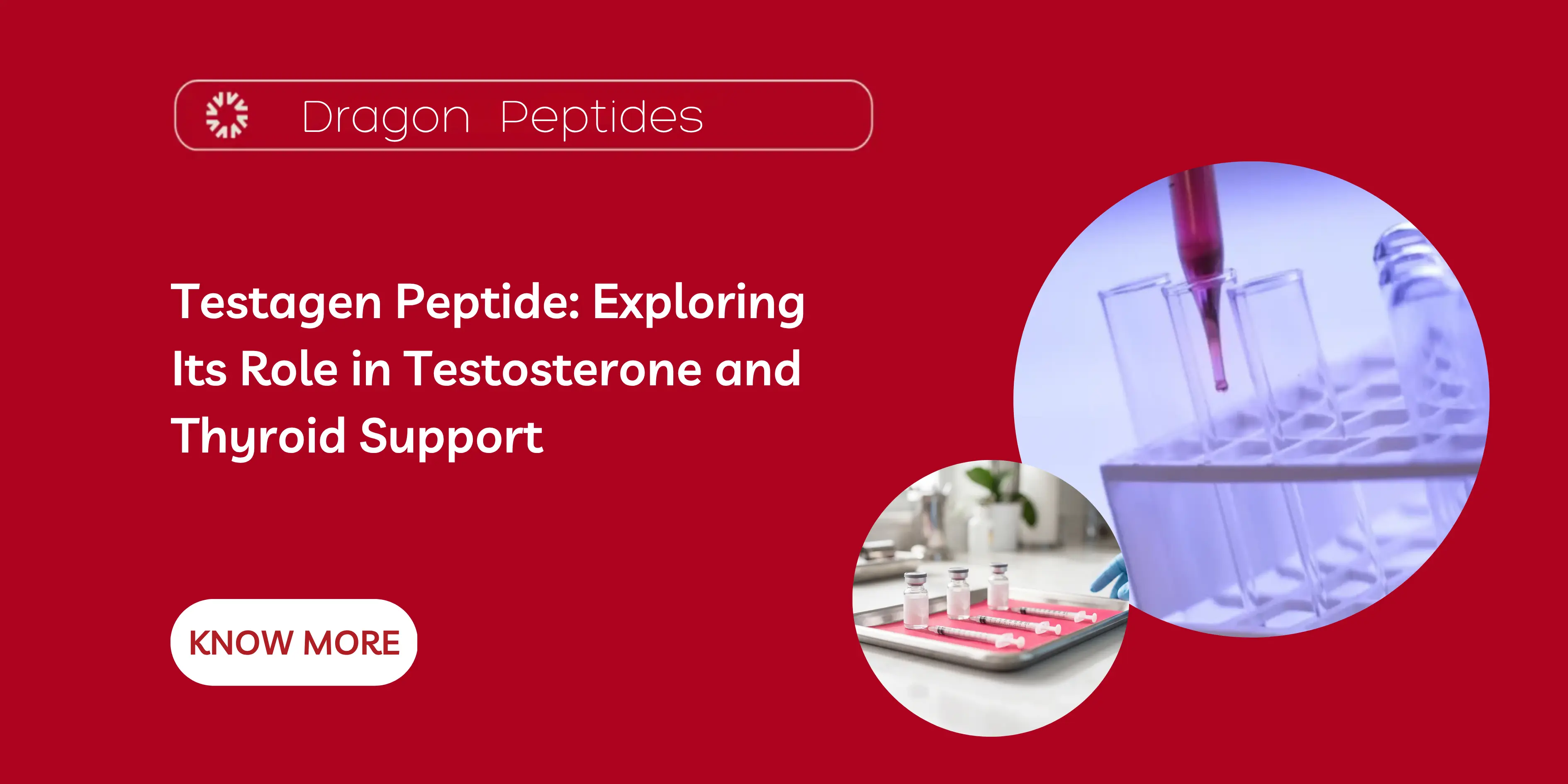Testagen Peptide: Exploring Its Role in Testosterone and Thyroid Support