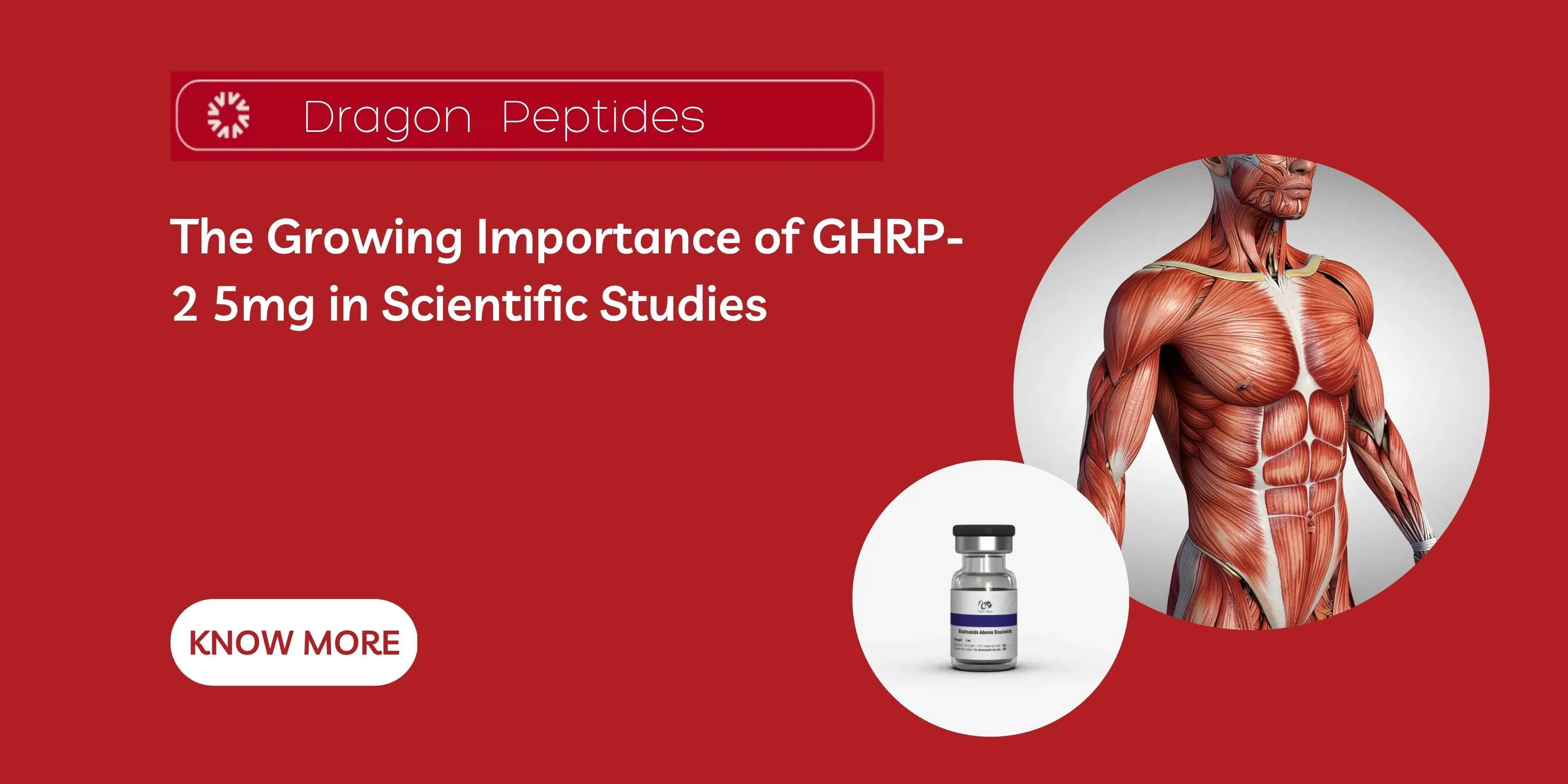 does bpc 157 help with scar tissue BPC-157 for Rib Injuries: Complete Recovery Guide 2026