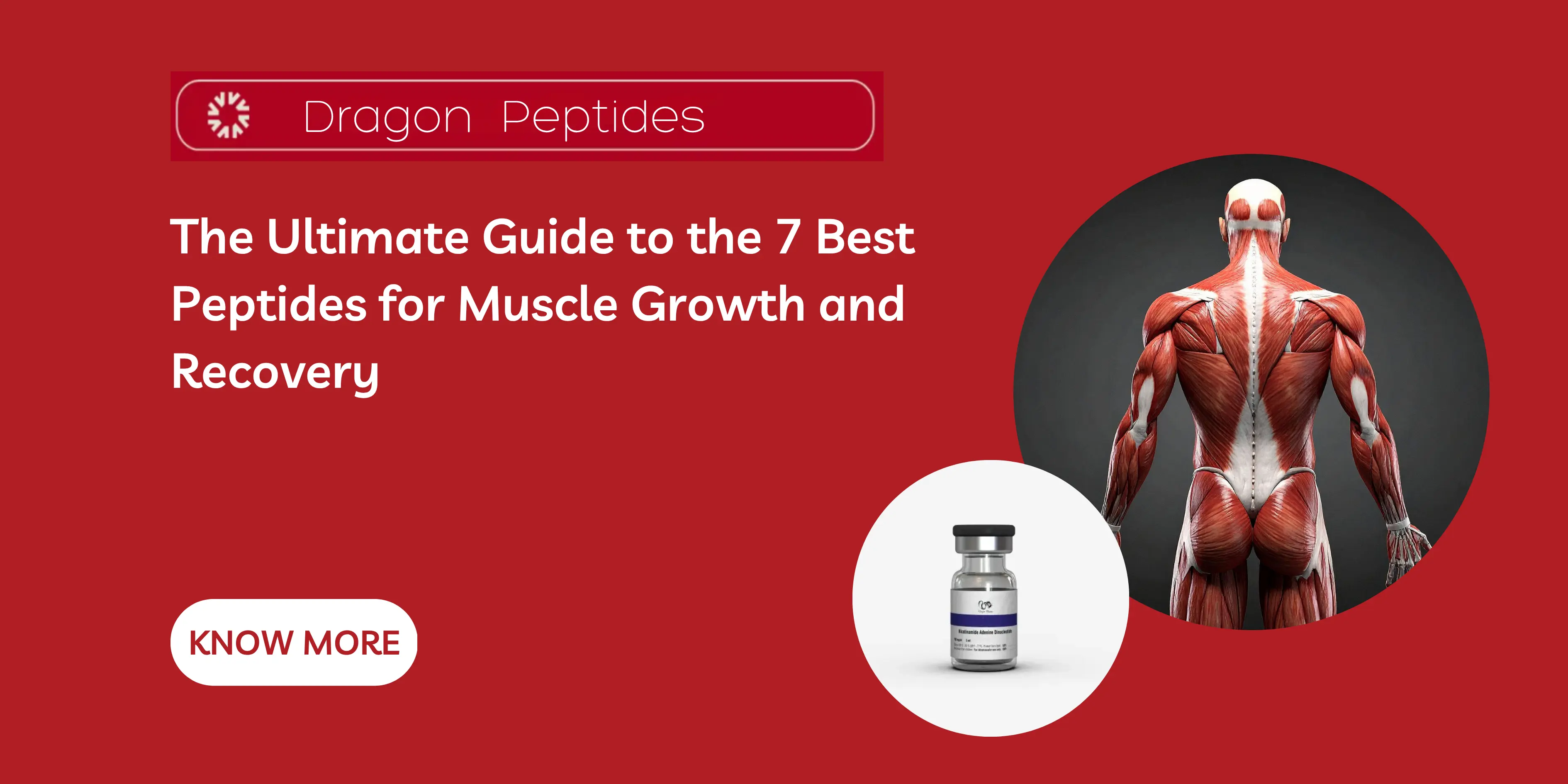 The Ultimate Guide to the 7 Best Peptides for Muscle Growth and Recovery