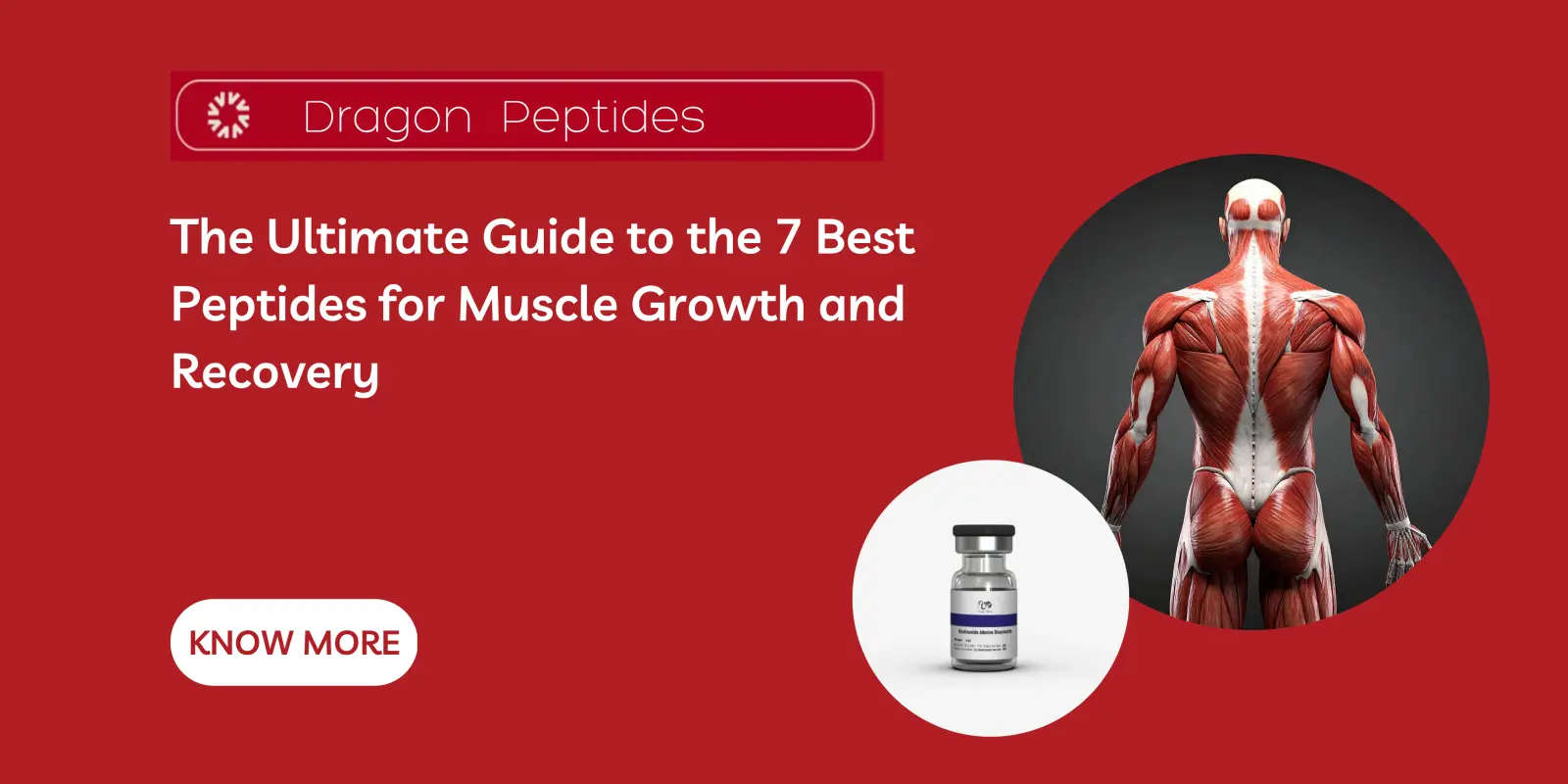 The Ultimate Guide to the 7 Best Peptides for Muscle Growth and Recovery