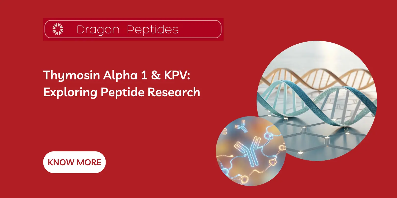 Thymosin Alpha 1 & KPV: Exploring Peptide Research